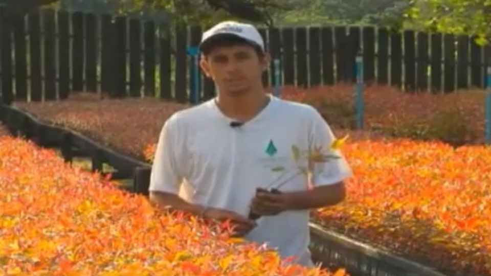 Denilson Rodrigues - Encarregado Ecoplant - Itapeva, SP