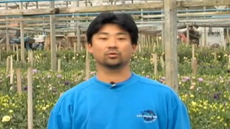 Danilo Sakio Tanio - Produtor de Flores - Atibaia, SP