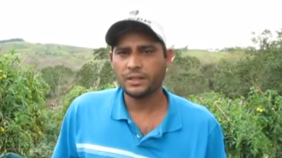 Alessandro Maciel - Produtor de tomate - Itaoca, SP